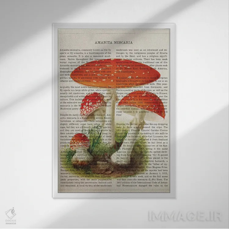 تابلو قارچ آمانیتا موسکاریا (قارچ سمی مکلف به قرمز با لکههای سفید) اثر پیکسل کهنه (استودیو/نام هنری) - نمای قابدار سفید