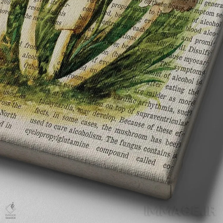 تابلو قارچ جوهری معمولی اثر پیکسل کهنه (استودیو/نام هنری) - نمای نزدیک بافت بوم