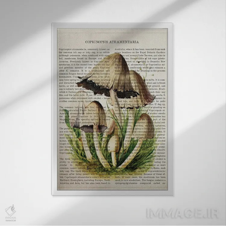 تابلو قارچ جوهری معمولی اثر پیکسل کهنه (استودیو/نام هنری) - نمای قابدار سفید