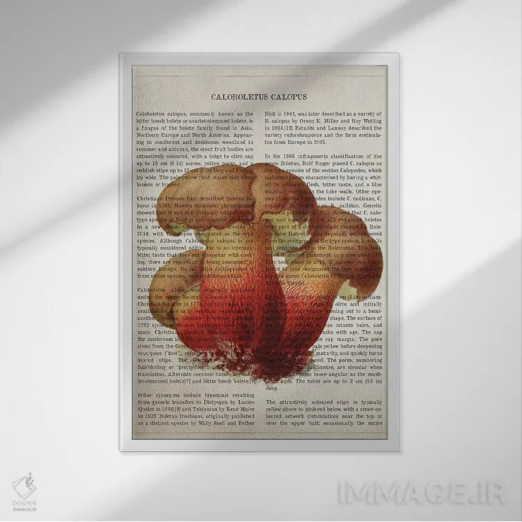 تابلو قارچ کالوبولتوس کالوپوس اثر پیکسل کهنه (استودیو/نام هنری) - نمای قابدار سفید