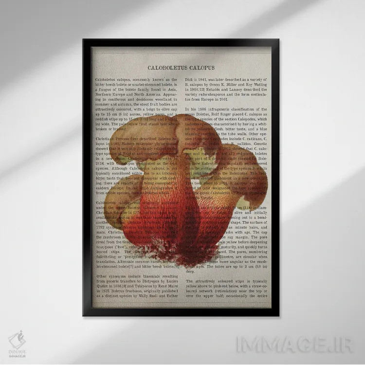 تابلو قارچ کالوبولتوس کالوپوس اثر پیکسل کهنه (استودیو/نام هنری) - نمای قابدار مشکی