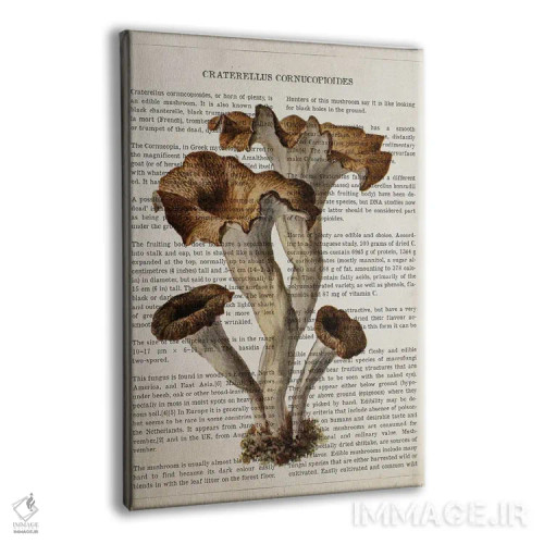 تابلو قارچ کراترلوس کورنوکوپیوییدس (قارچ ترومپتی سیاه) اثر پیکسل کهنه (استودیو/نام هنری) - نمای پرسپکتیو محصول
