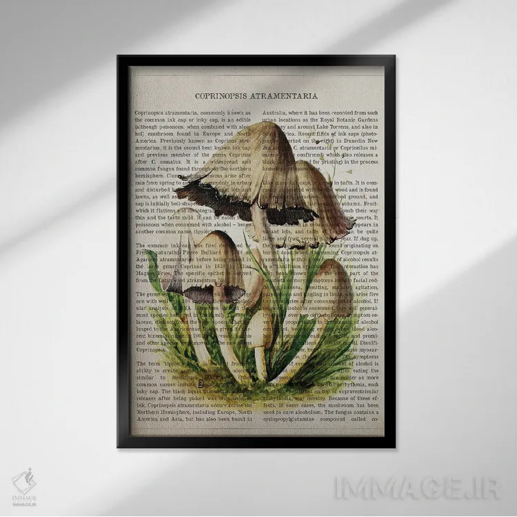 تابلو قارچ جوهری معمولی اثر پیکسل کهنه (استودیو/نام هنری) - نمای قابدار مشکی