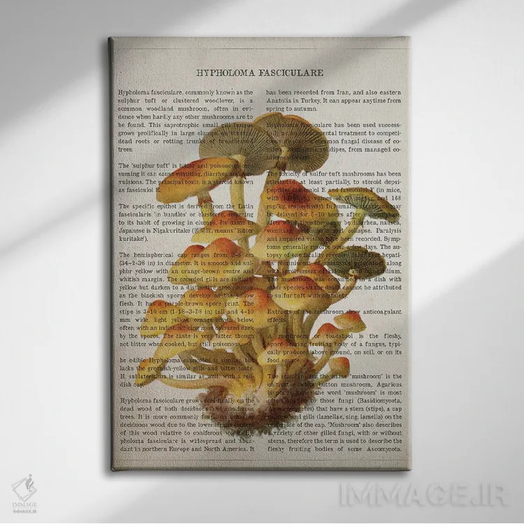 تابلو قارچ هیفولما فاسیکولاره اثر پیکسل کهنه (استودیو/نام هنری) - نمای روبهرو روی دیوار