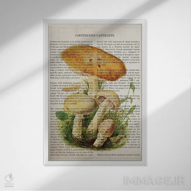 تابلو قارچ کرتینداریوس کاپراتوس اثر پیکسل کهنه (استودیو/نام هنری) - نمای قابدار سفید