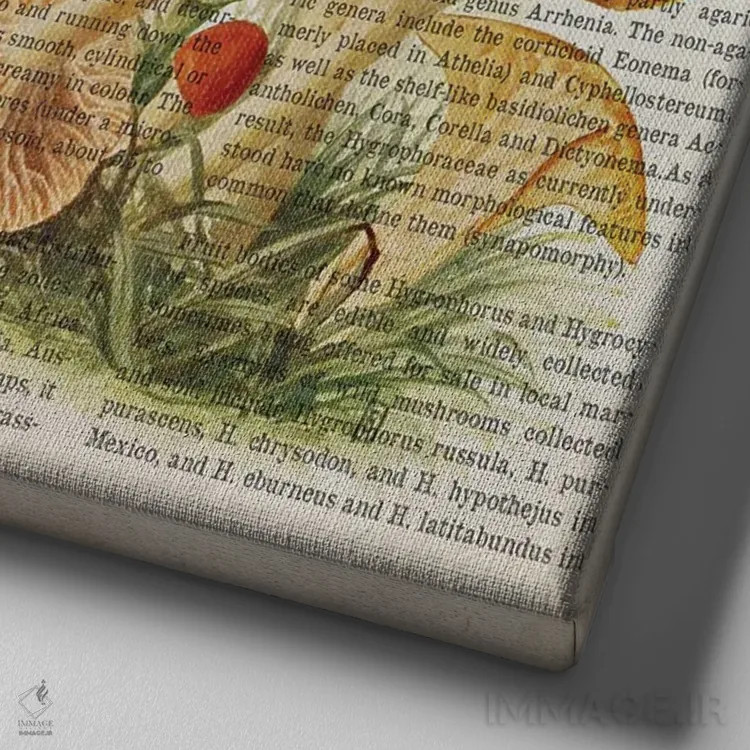 تابلو قارچ کوفوفیلوس پراتنسیس اثر پیکسل کهنه (استودیو/نام هنری) - نمای نزدیک بافت بوم