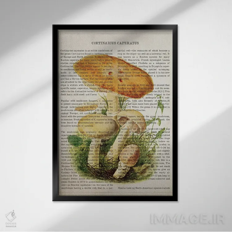 تابلو قارچ کرتینداریوس کاپراتوس اثر پیکسل کهنه (استودیو/نام هنری) - نمای قابدار مشکی