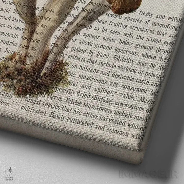 تابلو قارچ کراترلوس کورنوکوپیوییدس (قارچ ترومپتی سیاه) اثر پیکسل کهنه (استودیو/نام هنری) - نمای نزدیک بافت بوم