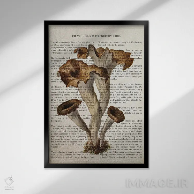 تابلو قارچ کراترلوس کورنوکوپیوییدس (قارچ ترومپتی سیاه) اثر پیکسل کهنه (استودیو/نام هنری) - نمای قابدار مشکی