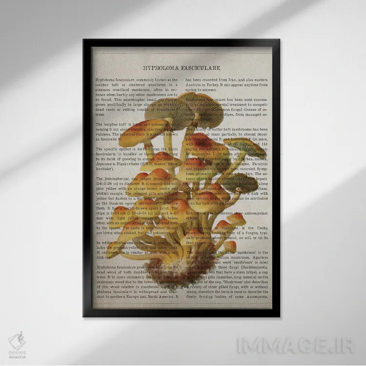 تابلو قارچ هیفولما فاسیکولاره اثر پیکسل کهنه (استودیو/نام هنری) - نمای قابدار مشکی