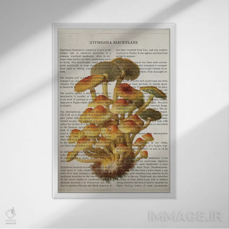 تابلو قارچ هیفولما فاسیکولاره اثر پیکسل کهنه (استودیو/نام هنری) - نمای قابدار سفید