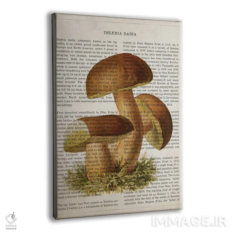 تابلو قارچ ایملریا بدیا (قارچ شاهبلوطی قهوهای) اثر پیکسل کهنه (استودیو/نام هنری) - نمای پرسپکتیو محصول