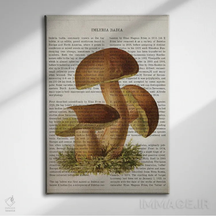 تابلو قارچ ایملریا بدیا (قارچ شاهبلوطی قهوهای) اثر پیکسل کهنه (استودیو/نام هنری) - نمای روبهرو روی دیوار