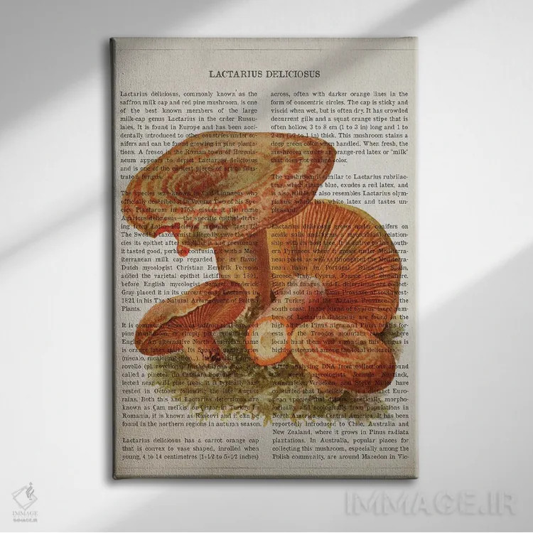 تابلو قارچ لاکتاریوس دلیسیوسوس (قارچ شیری خوشمزه) اثر پیکسل کهنه (استودیو/نام هنری) - نمای روبهرو روی دیوار