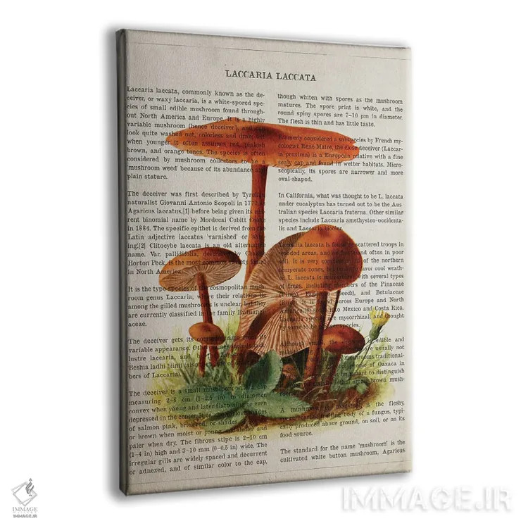 تابلو قارچ لاکاریا لاکاتا اثر پیکسل کهنه (استودیو/نام هنری) - نمای پرسپکتیو محصول