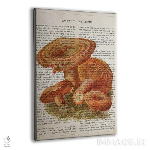 تابلو قارچ لاکتاریوس دلیسیوسوس (قارچ شیری خوشمزه) اثر پیکسل کهنه (استودیو/نام هنری) - نمای پرسپکتیو محصول