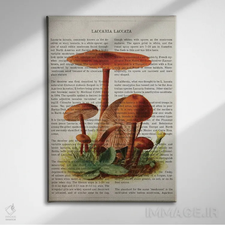 تابلو قارچ لاکاریا لاکاتا اثر پیکسل کهنه (استودیو/نام هنری) - نمای روبهرو روی دیوار