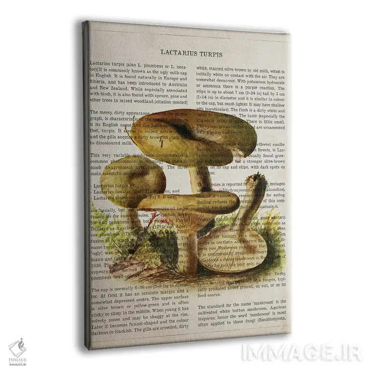 تابلو قارچ لاکتاریوس تورپیوس اثر پیکسل کهنه (استودیو/نام هنری) - نمای پرسپکتیو محصول