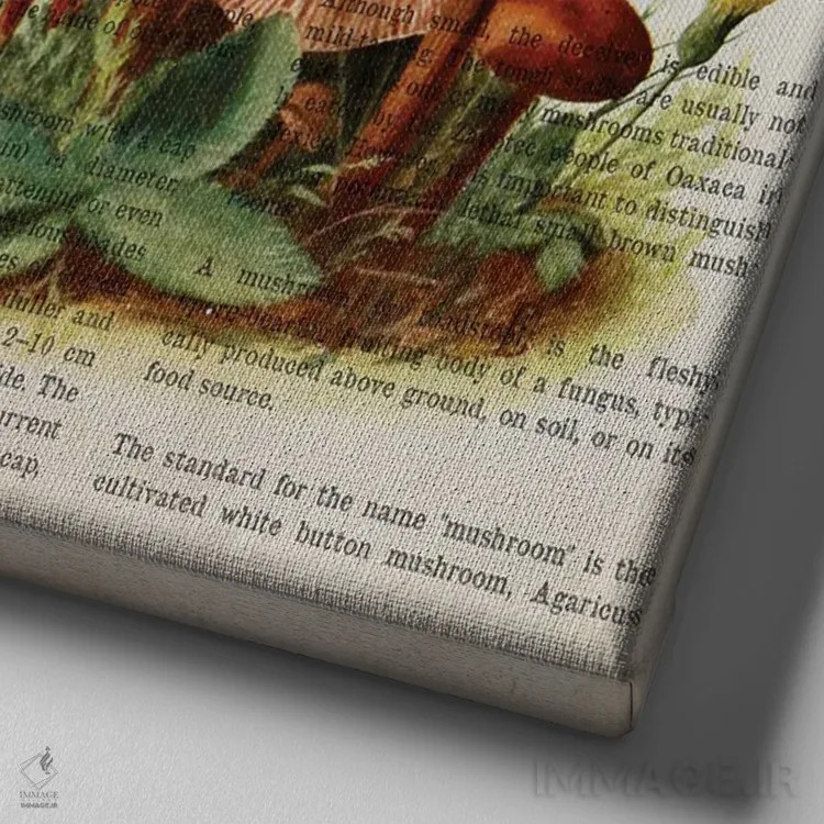 تابلو قارچ لاکاریا لاکاتا اثر پیکسل کهنه (استودیو/نام هنری) - نمای نزدیک بافت بوم