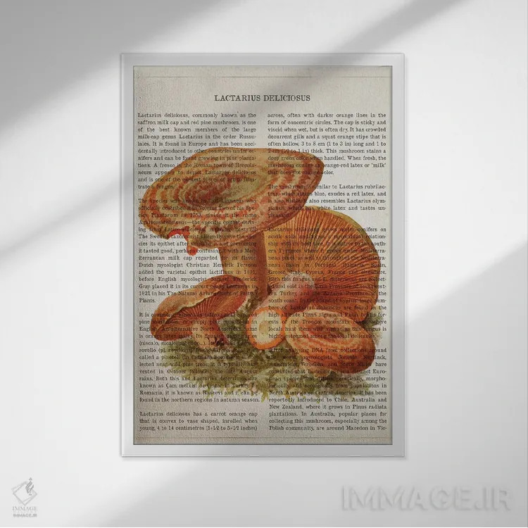 تابلو قارچ لاکتاریوس دلیسیوسوس (قارچ شیری خوشمزه) اثر پیکسل کهنه (استودیو/نام هنری) - نمای قابدار سفید