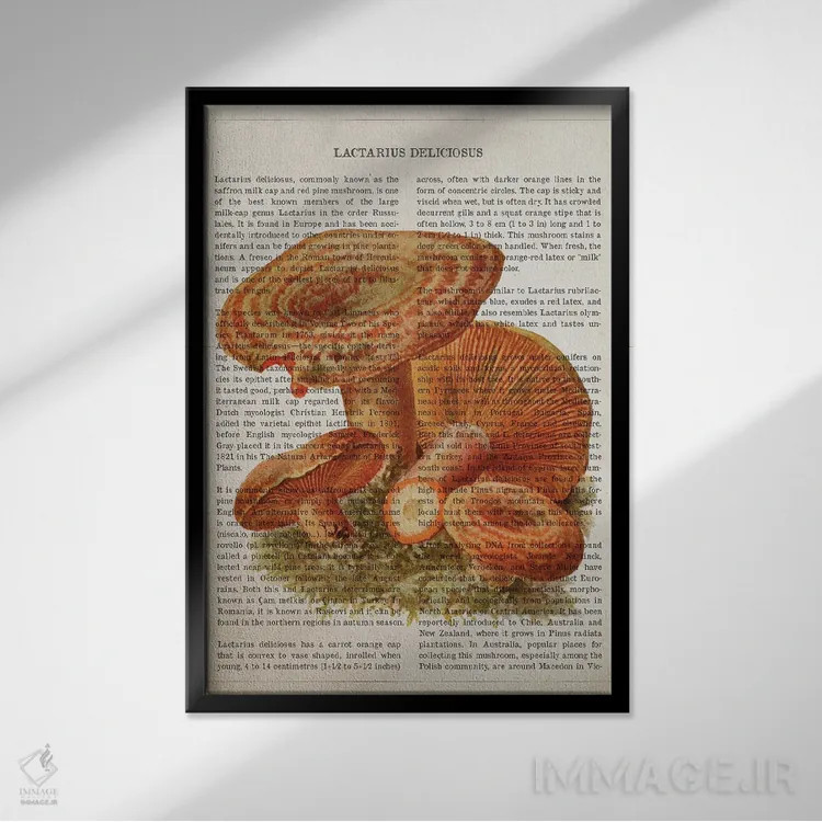 تابلو قارچ لاکتاریوس دلیسیوسوس (قارچ شیری خوشمزه) اثر پیکسل کهنه (استودیو/نام هنری) - نمای قابدار مشکی