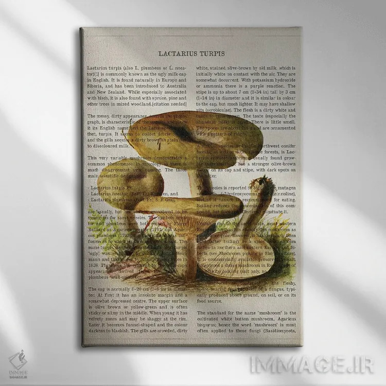 تابلو قارچ لاکتاریوس تورپیوس اثر پیکسل کهنه (استودیو/نام هنری) - نمای روبهرو روی دیوار