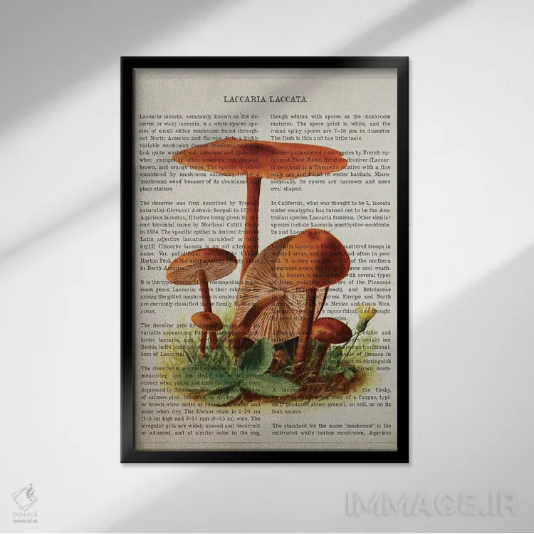 تابلو قارچ لاکاریا لاکاتا اثر پیکسل کهنه (استودیو/نام هنری) - نمای قابدار مشکی