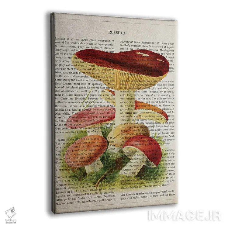 تابلو قارچ روسولا اثر پیکسل کهنه (استودیو/نام هنری) - نمای پرسپکتیو محصول