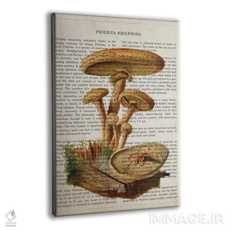 تابلو قارچ فولیتا اسکواروزا (قارچ فلسدار) اثر پیکسل کهنه (استودیو/نام هنری) - نمای پرسپکتیو محصول