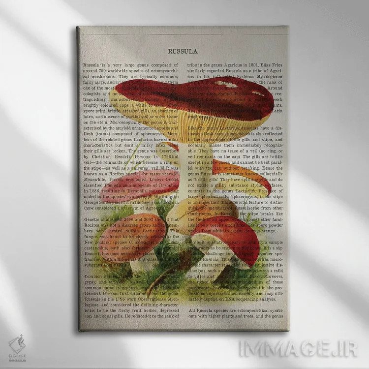 تابلو قارچ روسولا اثر پیکسل کهنه (استودیو/نام هنری) - نمای روبهرو روی دیوار