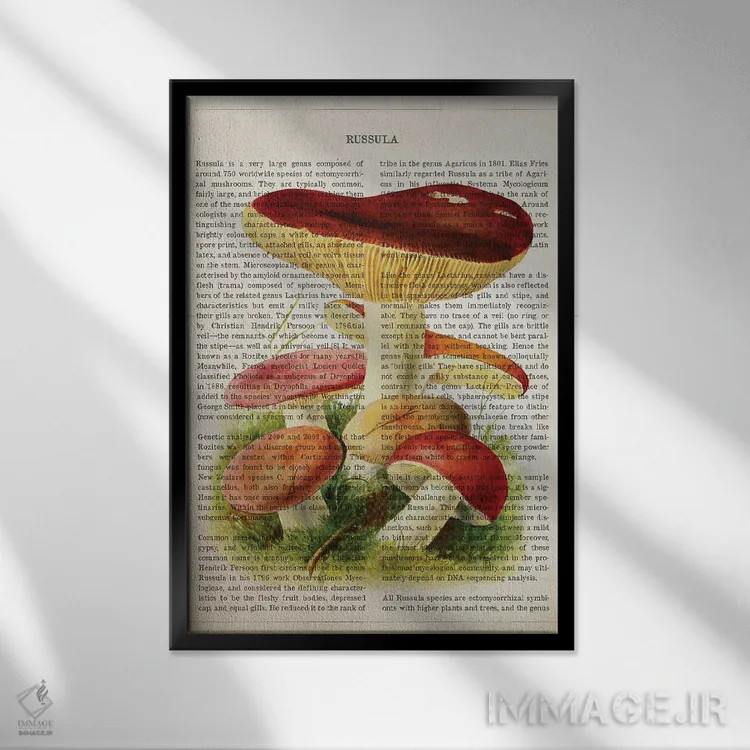 تابلو قارچ روسولا اثر پیکسل کهنه (استودیو/نام هنری) - نمای قابدار مشکی