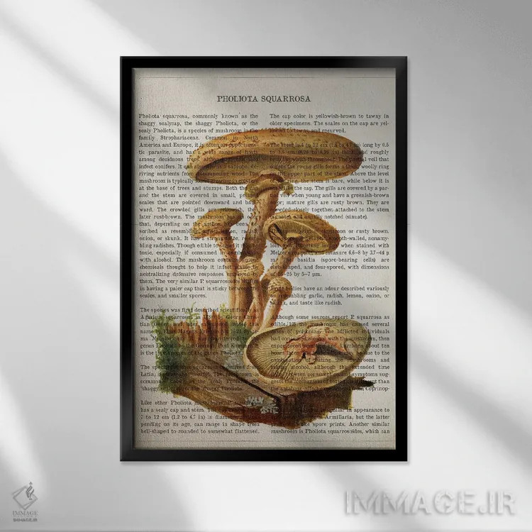 تابلو قارچ فولیتا اسکواروزا (قارچ فلسدار) اثر پیکسل کهنه (استودیو/نام هنری) - نمای قابدار مشکی