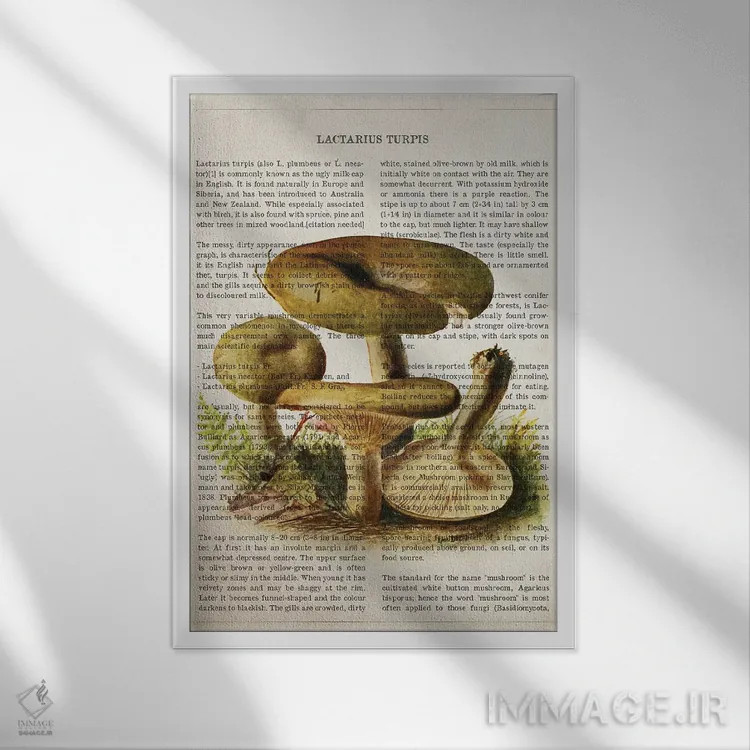 تابلو قارچ لاکتاریوس تورپیوس اثر پیکسل کهنه (استودیو/نام هنری) - نمای قابدار سفید
