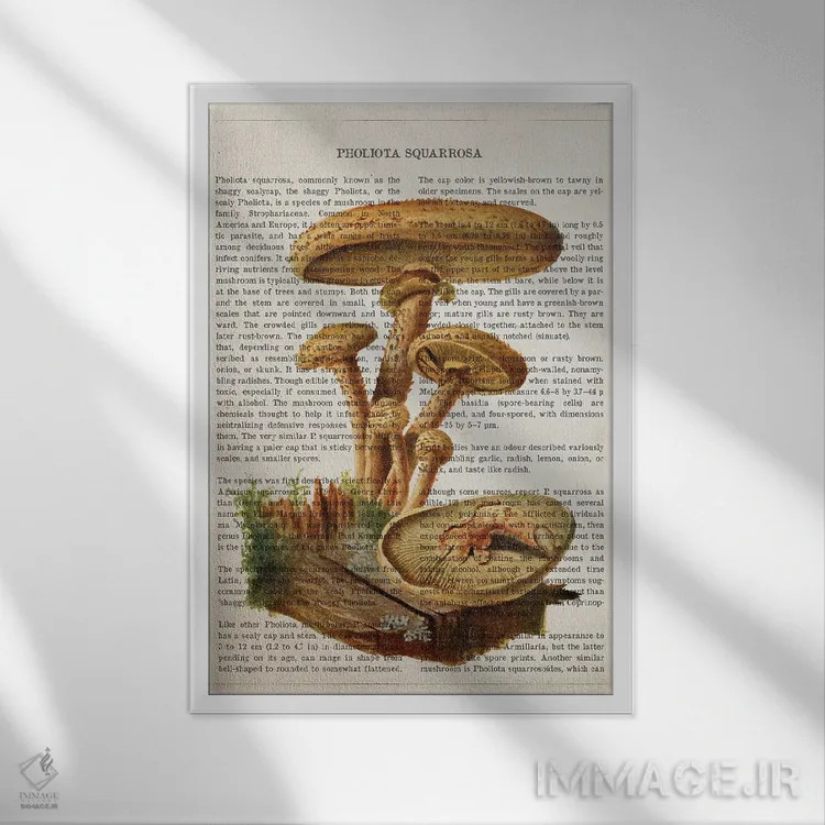 تابلو قارچ فولیتا اسکواروزا (قارچ فلسدار) اثر پیکسل کهنه (استودیو/نام هنری) - نمای قابدار سفید