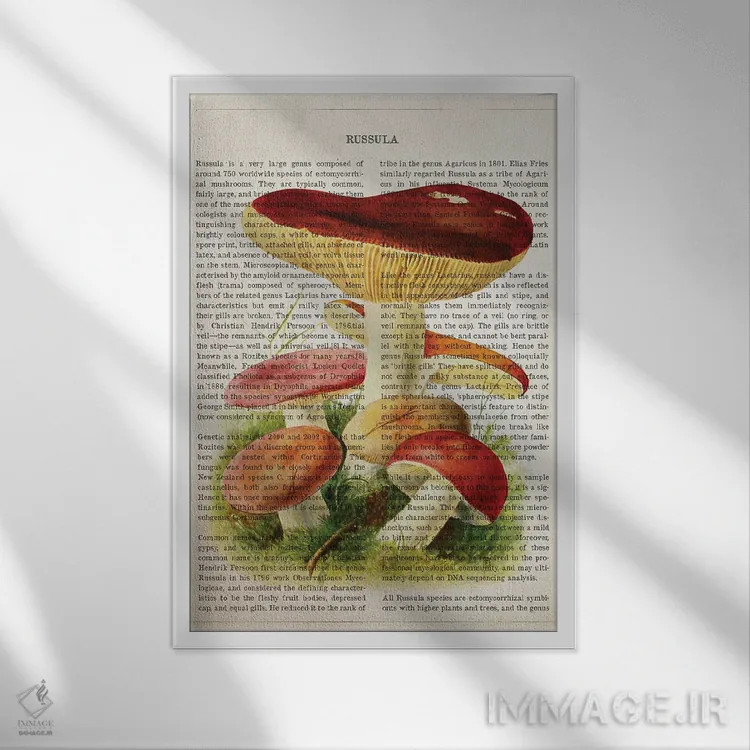 تابلو قارچ روسولا اثر پیکسل کهنه (استودیو/نام هنری) - نمای قابدار سفید