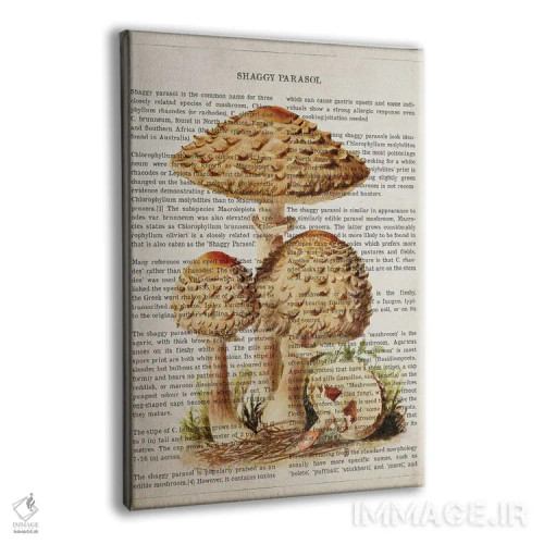 تابلو قارچ چتر shaggy (قارچ چتری پرمو) اثر پیکسل کهنه (استودیو/نام هنری) - نمای پرسپکتیو محصول