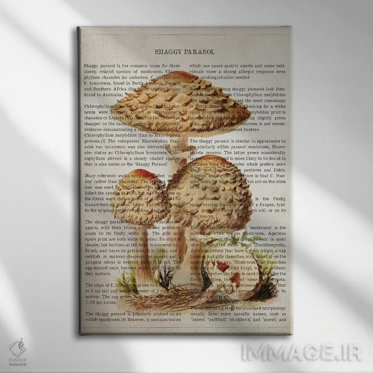 تابلو قارچ چتر shaggy (قارچ چتری پرمو) اثر پیکسل کهنه (استودیو/نام هنری) - نمای روبهرو روی دیوار