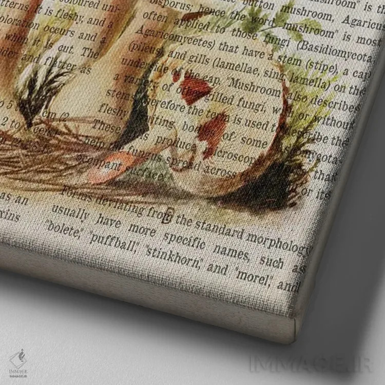 تابلو قارچ چتر shaggy (قارچ چتری پرمو) اثر پیکسل کهنه (استودیو/نام هنری) - نمای نزدیک بافت بوم