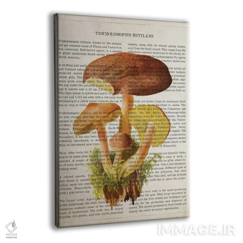 تابلو قارچ تریکولوموپسیس روتیلانس اثر پیکسل کهنه (استودیو/نام هنری) - نمای پرسپکتیو محصول