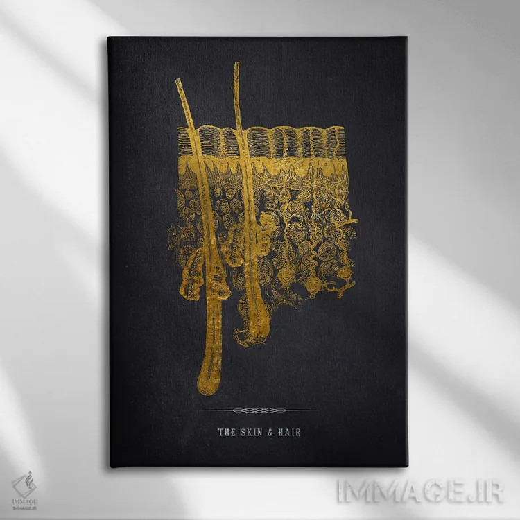 تابلو چاپ آناتومی پوست اثر پیکسل کهنه (استودیو/نام هنری) - نمای روبهرو روی دیوار