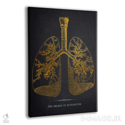 تابلو چاپ آناتومی ریهها اثر پیکسل کهنه (استودیو/نام هنری) - نمای پرسپکتیو محصول