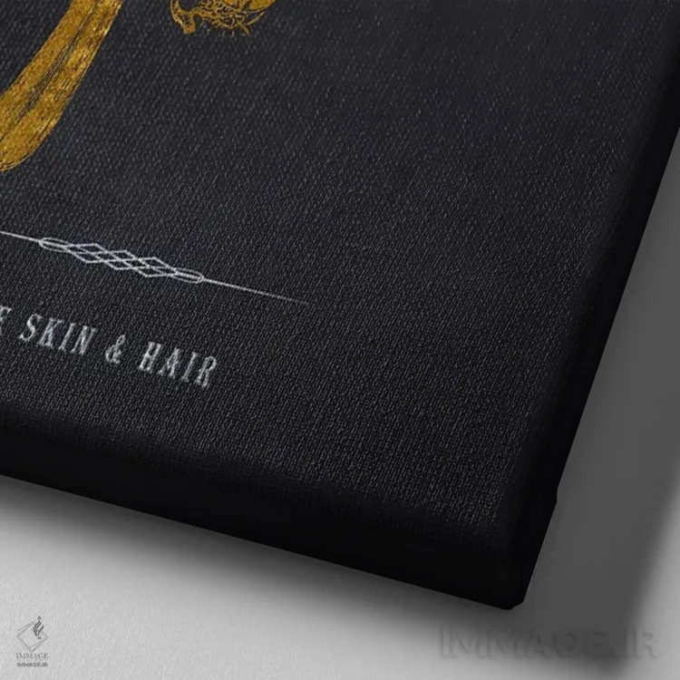 تابلو چاپ آناتومی پوست اثر پیکسل کهنه (استودیو/نام هنری) - نمای نزدیک بافت بوم