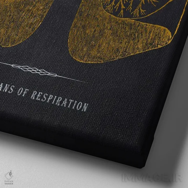 تابلو چاپ آناتومی ریهها اثر پیکسل کهنه (استودیو/نام هنری) - نمای نزدیک بافت بوم
