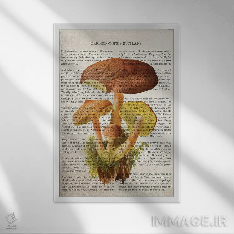تابلو قارچ تریکولوموپسیس روتیلانس اثر پیکسل کهنه (استودیو/نام هنری) - نمای قابدار سفید