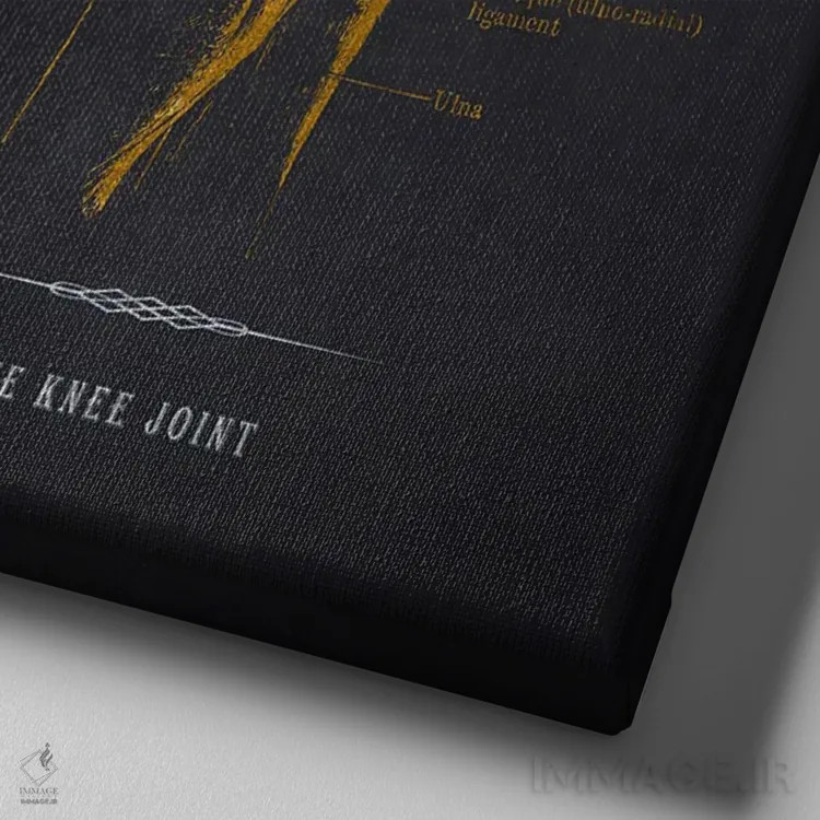 تابلو چاپ آناتومی مفصل زانو اثر پیکسل کهنه (استودیو/نام هنری) - نمای نزدیک بافت بوم