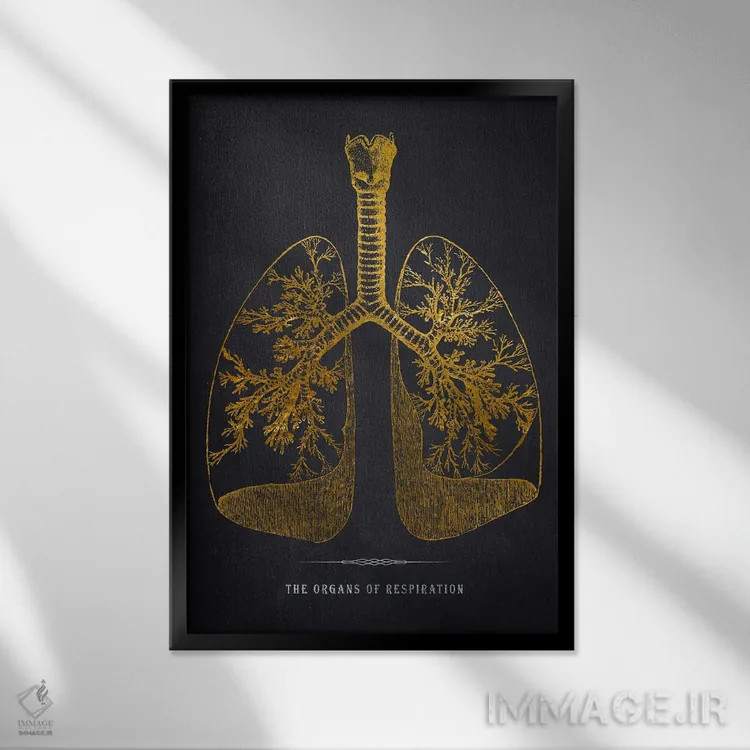 تابلو چاپ آناتومی ریهها اثر پیکسل کهنه (استودیو/نام هنری) - نمای قابدار مشکی