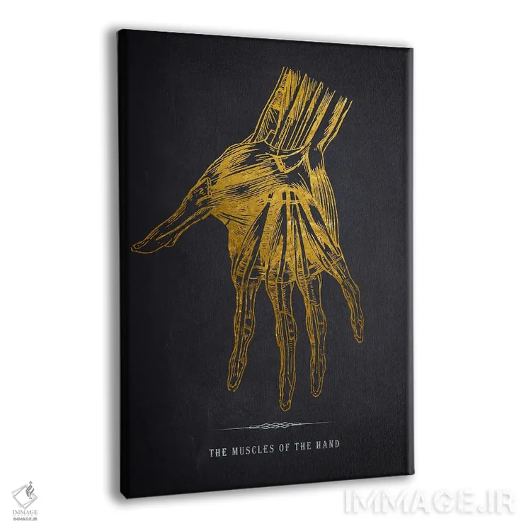 تابلو چاپ آناتومی دست اثر پیکسل کهنه (استودیو/نام هنری) - نمای پرسپکتیو محصول