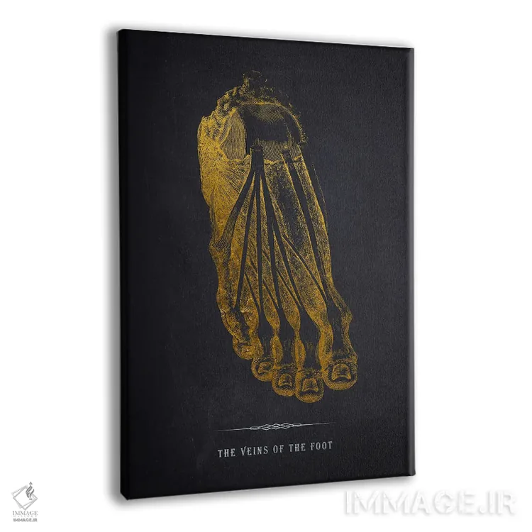 تابلو چاپ آناتومی رگهای پا اثر پیکسل کهنه (استودیو/نام هنری) - نمای پرسپکتیو محصول