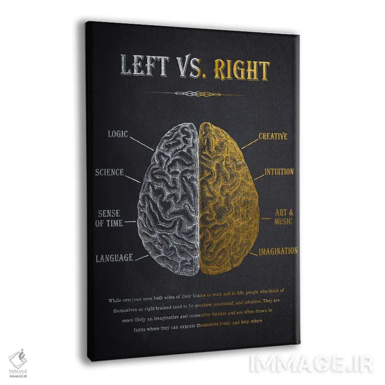 تابلو آناتومی مغز چپ در برابر راست (مقایسه نیمکرههای مغز) اثر پیکسل کهنه (استودیو/نام هنری) - نمای پرسپکتیو محصول
