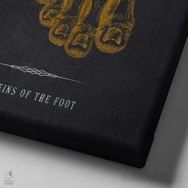 تابلو چاپ آناتومی رگهای پا اثر پیکسل کهنه (استودیو/نام هنری) - نمای نزدیک بافت بوم